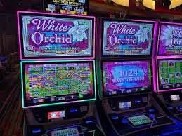 9f casino